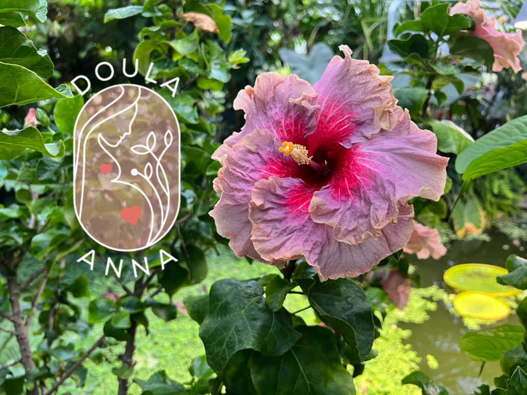 Doula in Münster - Online Doula-Dienste - Doula Anna Raddatz
